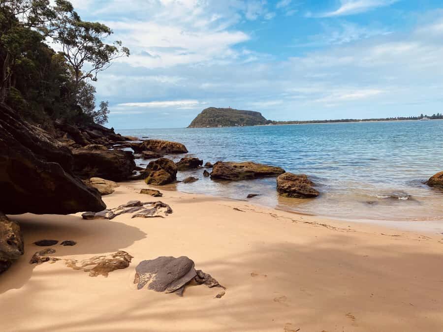 Sydney: Ku-ring-gai National Park with swim and picnic - The Value and Who Should Consider This Tour