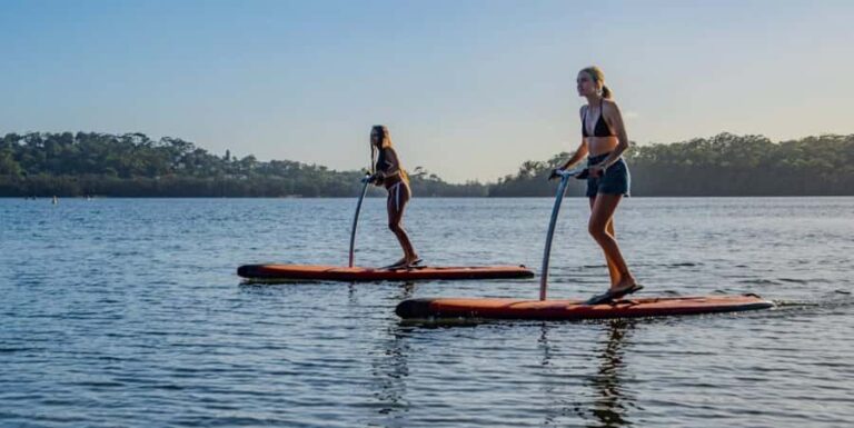 Sydney: Narrabeen Lagoon Sunrise SUP and Breakfast - What to Expect During the Tour
