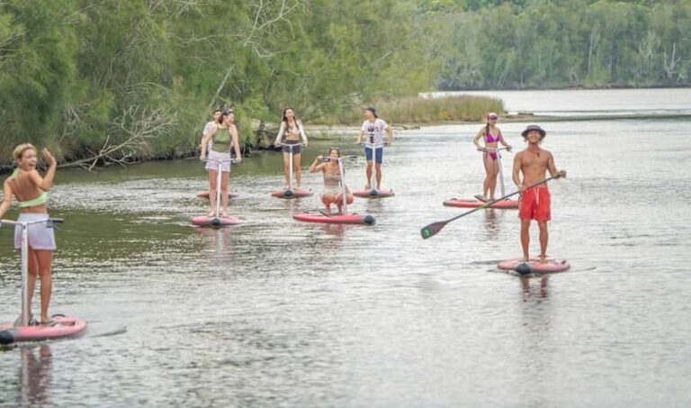Sydney: Narrabeen Lagoon SUP Tour with Instructor - Why This Tour Is a Great Value