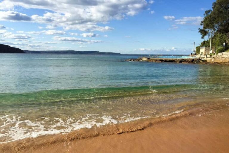 Sydney: Northern Beaches and Ku-ring-gai National Park Tour - Transport, Group Size, and Value