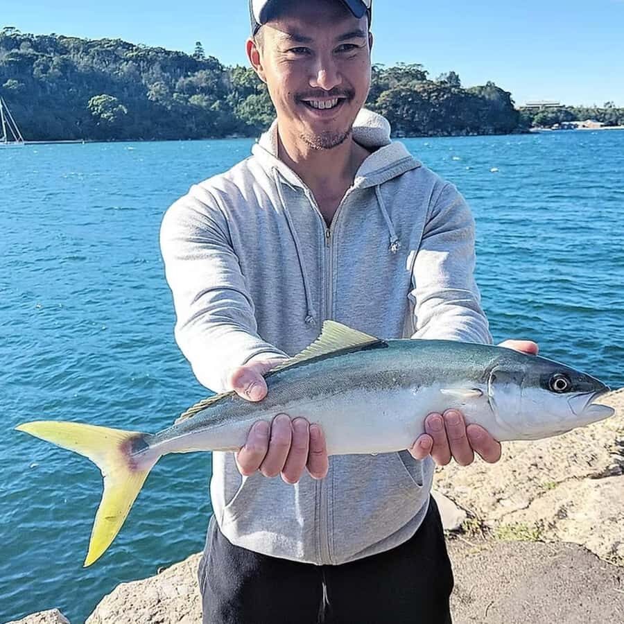 Sydney: Onshore Fishing Experience with Equipment - The Realistic View from Reviews