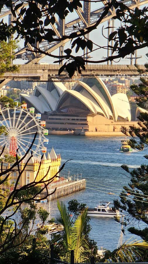 Sydney: Opera & Harbour Bridge Small-Group Kayak Tour - The Value of the Experience