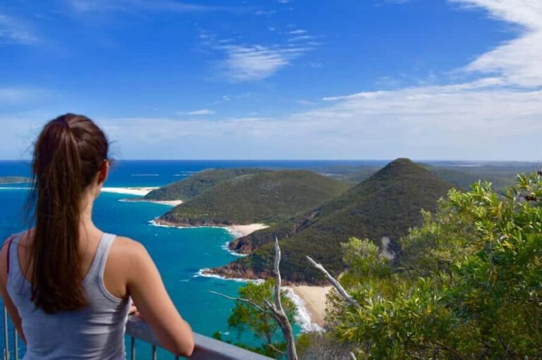 Sydney: Port Stephens Day Trip with Dolphin Cruise or Hike - How the Experience Feels in Practice