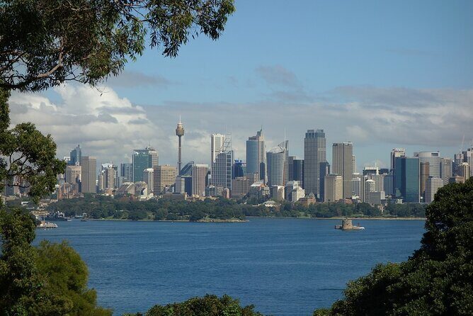 Sydney Private Custom Walking Tour with A Guide (Private Tour) - The Value of a Private Guide