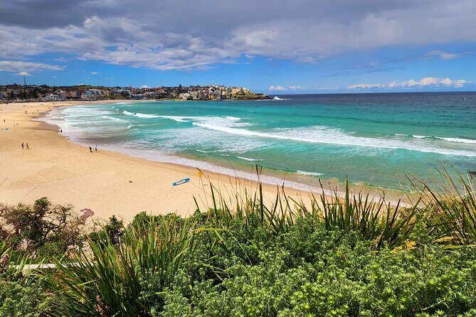 Sydney Private Tour 2 Hour Half Day Full Day and City Lights - Value and Cost Analysis