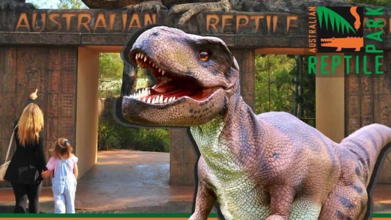 Sydney: Reptile Park and Avoca Beach Day Trip with Entry - What Makes This Tour Stand Out