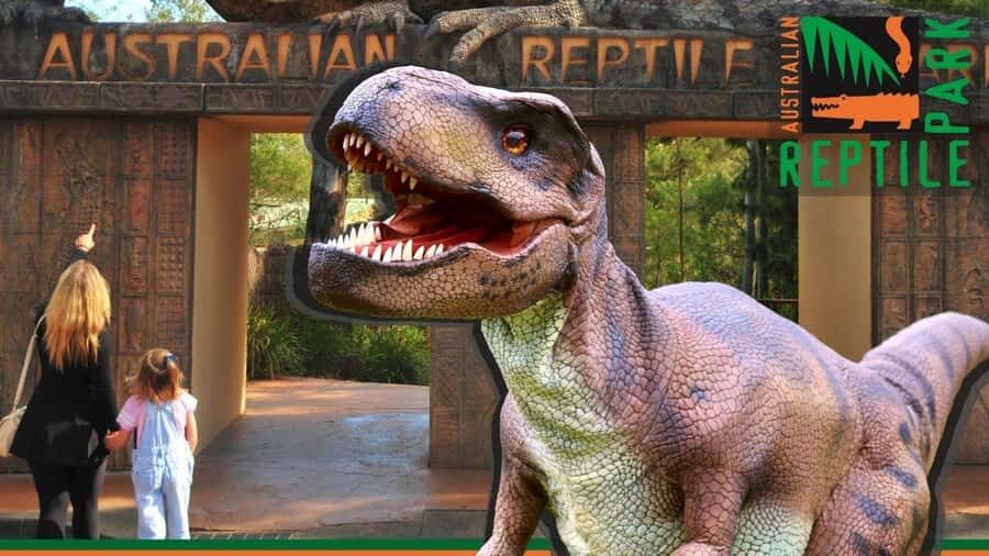 Sydney: Reptile Park and Avoca Beach Day Trip with Entry - What Makes This Tour Stand Out