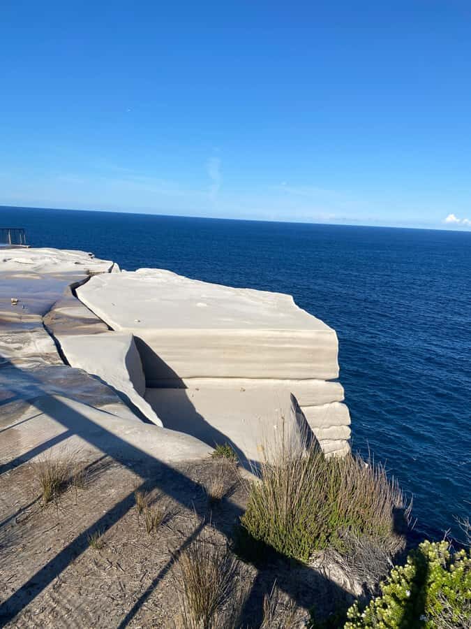 Sydney: Royal National Park tour with picnic - A Closer Look at What You Can Expect