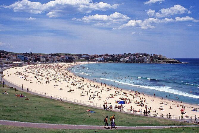 Sydney Shore Excursion: Half-Day Sydney City Highlights with Bondi Beach and Watsons Bay - Authentic Experiences and Traveler Feedback