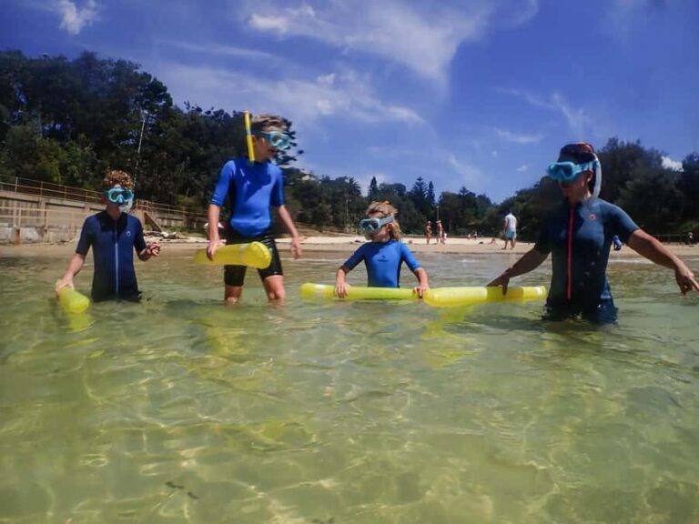 Sydney: Snorkeling Tour for Kids with Private Guide - What to Expect from the Itinerary