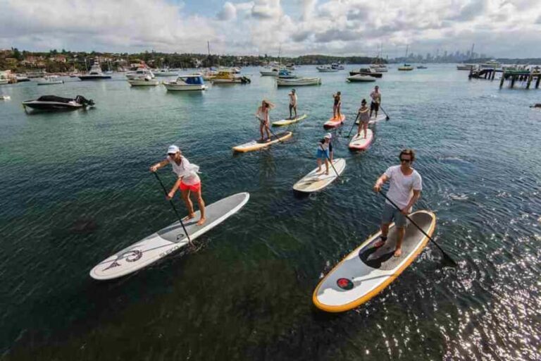 Sydney: Stand Up Paddling & Swim Experience in Watsons Bay - What You Can Expect from the Tour
