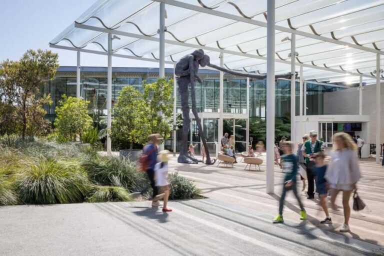 Sydney Summer Art Exhibitions Art Gallery of New South Wales - What to Expect at Each Exhibition