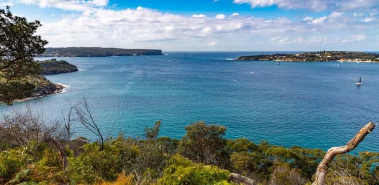 Sydney: Taronga to Balmoral Walk with picnic at Balmoral - What to Expect and Why It Matters