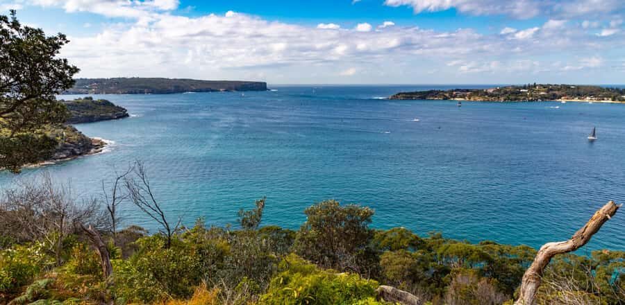 Sydney: Taronga to Balmoral Walk with picnic at Balmoral - What to Expect and Why It Matters
