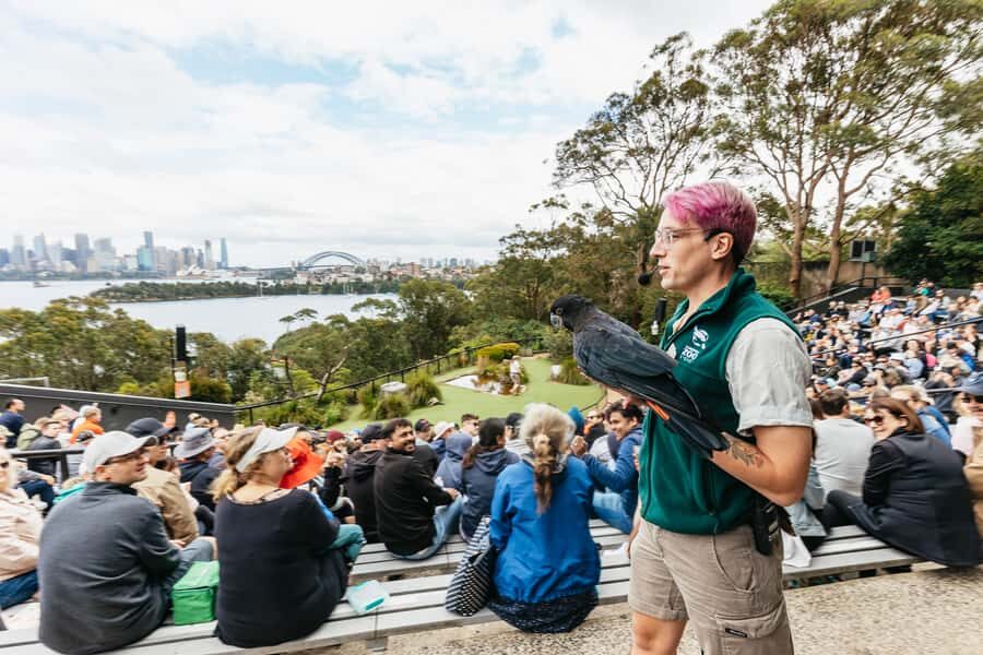 Sydney: Taronga Zoo Tickets - The Itinerary & Highlights