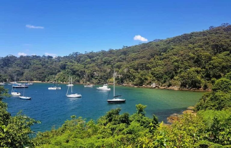 Sydney: Taronga zoo to Balmoral Walk with Ala carte Lunch - FAQ