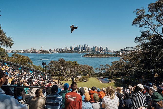 Sydney Taronga Zoo's Aussie Backyard Adventure Tour - Why We Think This Tour Works