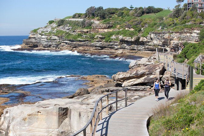 Sydney Uncovered Full-Day Private Tour - Who Should Consider This Tour?