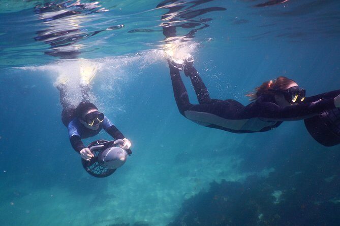 sydney underwater scooter tours - Final Thoughts