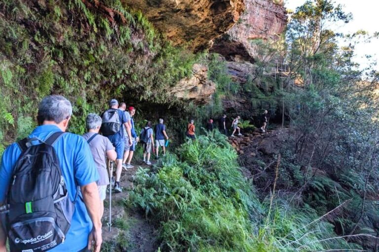 Sydney: Waterfall Bushwalk and Blue Mountain Sunset Day Trip - Practical Details and What to Expect