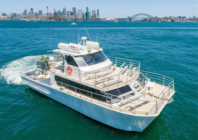 Sydney: Whale Watching Adventure Cruise - What to Expect on the Whale Watching Cruise