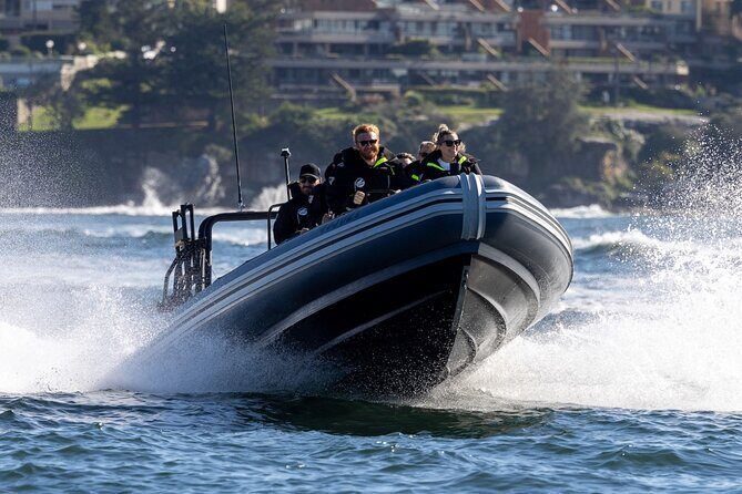 Sydney Whale Watching on Small RIB - Who Should Consider This Tour?