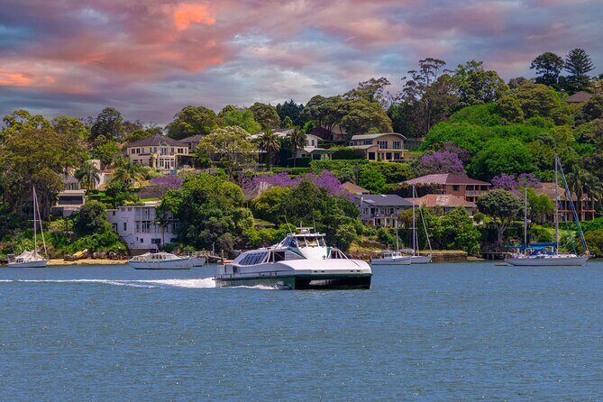 Sydney Wild Kangaroos and a Cruise: A Private Wildlife Adventure - What Travelers Can Expect from Each Stop