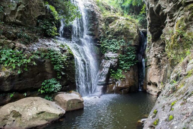 Sydney: Wollongong, Macquarie Pass, and Waterfalls Tour - Macquarie Pass: Rainforest Walks and Mossy Boulders