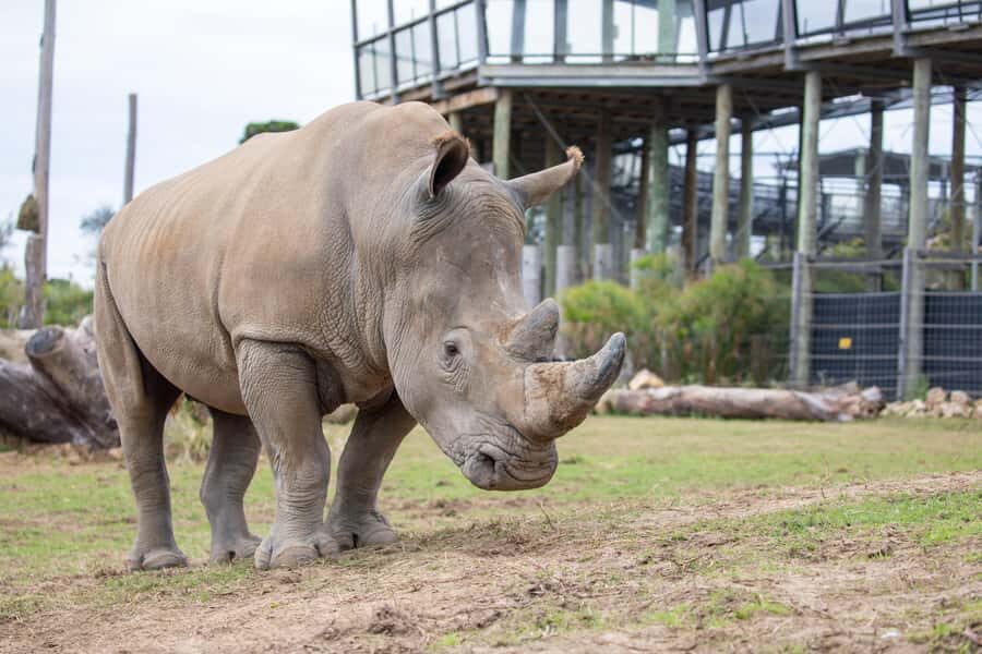 Sydney Zoo Admission Ticket - The Animal Collection