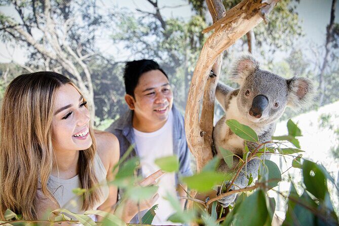 Sydney Zoo General Entry Admission Ticket - Who Should Visit Sydney Zoo?