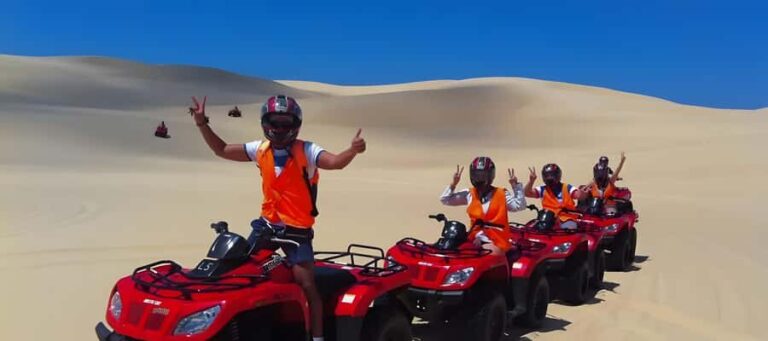 Sydney:Dolphin Watching and Sandboarding in Port Stephens - Break at a Local Restaurant: Relax and Recharge