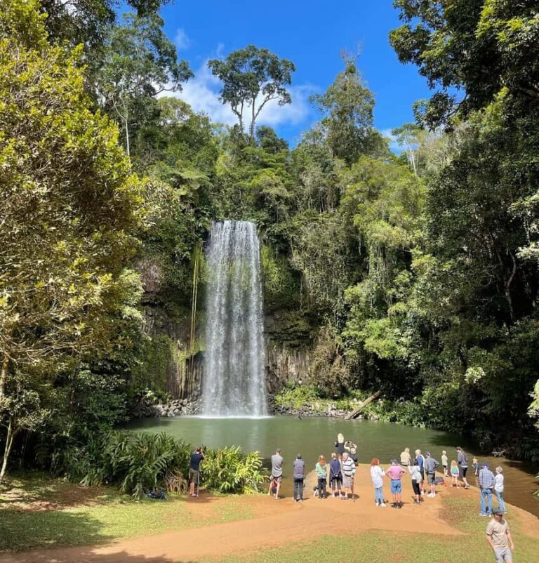 Tablelands Sights & Daintree Rainforest (2 Day Tours) - Why This Tour Delivers Real Value