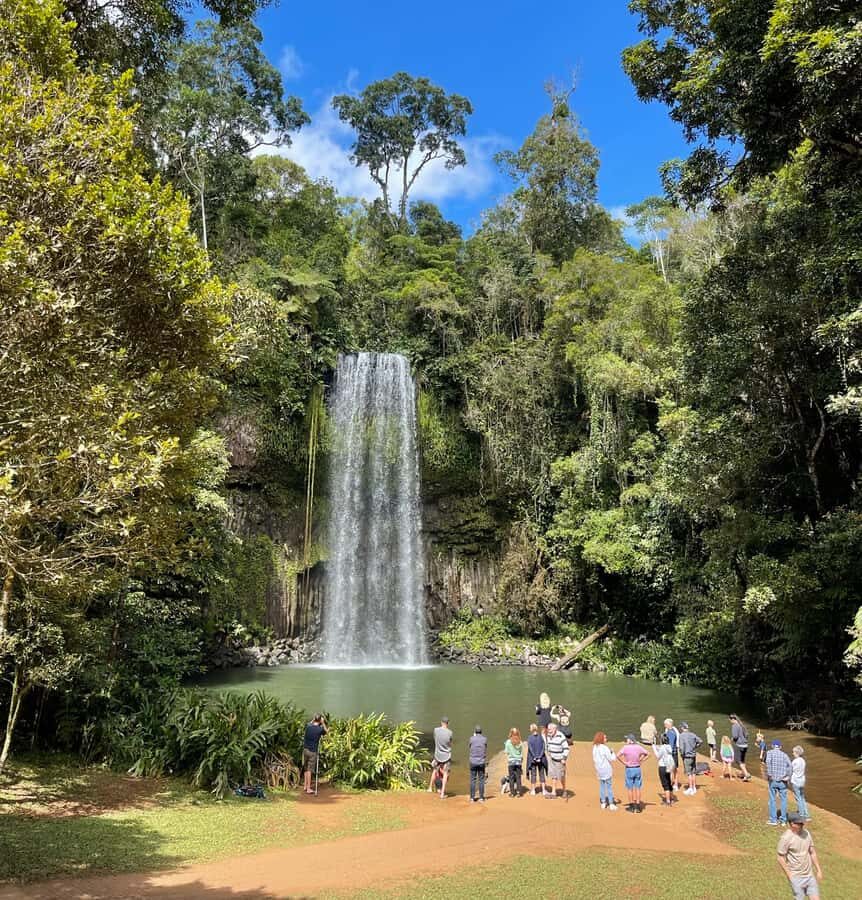 Tablelands Sights & Daintree Rainforest (2 Day Tours) - Why This Tour Delivers Real Value