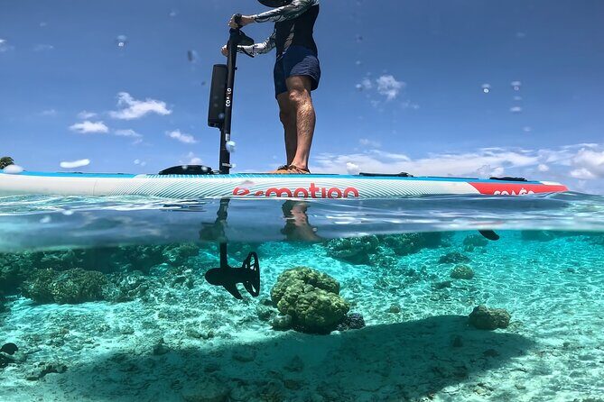 Tahaa Excursion in Electric Paddle Snorkeling Coral Garden - Frequently Asked Questions