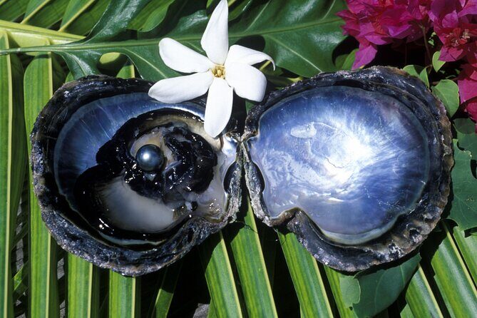 Tahaa Lagoon Tour -Departure Raiatea-Small groups (max 12 p) - Who Should Consider This Tour?