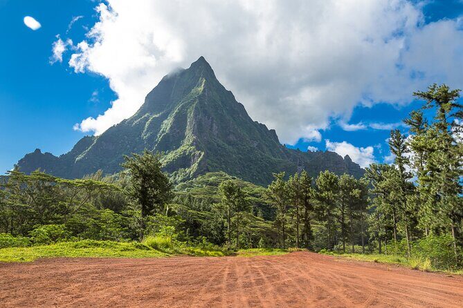 Tahiti 4x4 Mountain Safari Private Shore Tour 4 Hours - What to Expect from the Tour