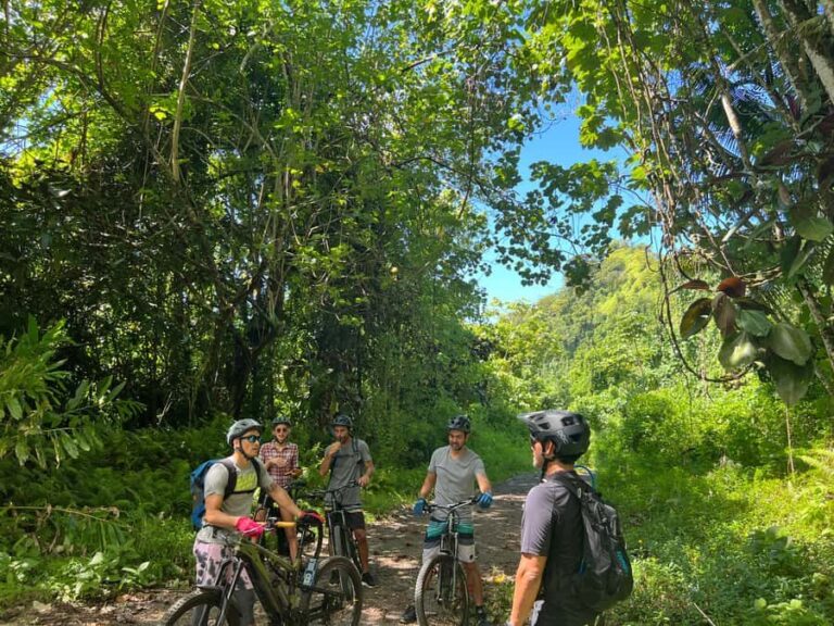 Tahiti E-bike, mtb, vtt Tour with Swimming and Lunch - The Practicalities