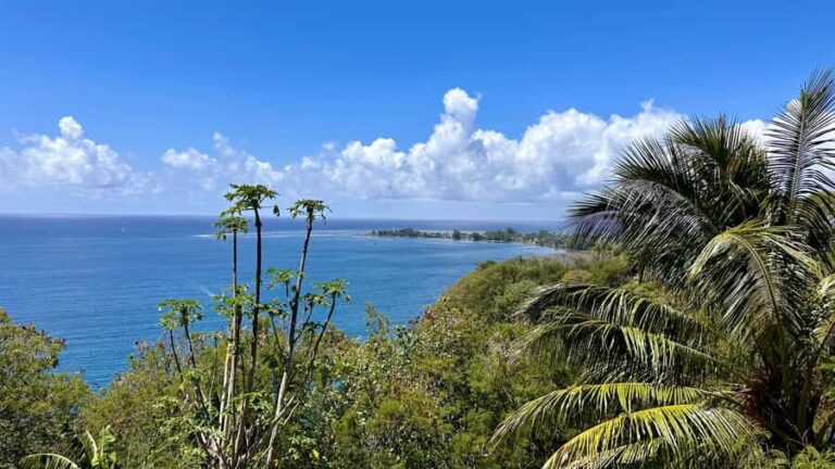Tahiti: East or West coast tour (Half Day) - Exploring the West Coast: Beaches, Bays, and Surf