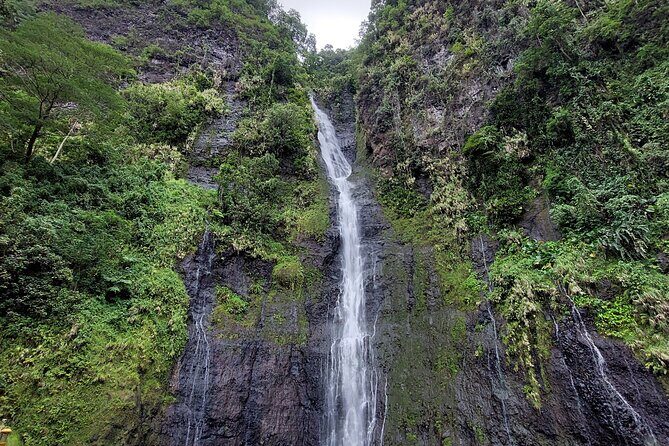 Tahiti Fautaua Valley and Big Waterfall Private Hiking Tour - A Detailed Look at the Tour Itinerary