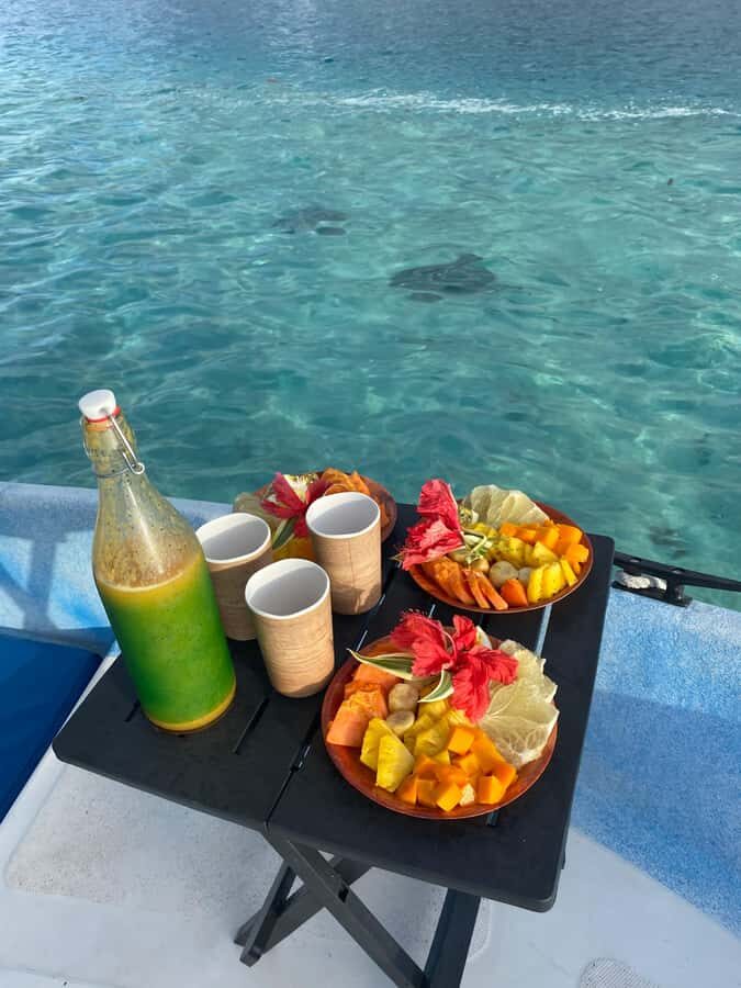 Tahiti island: 5 hours Snorkeling Picnic - The Value of This Tour