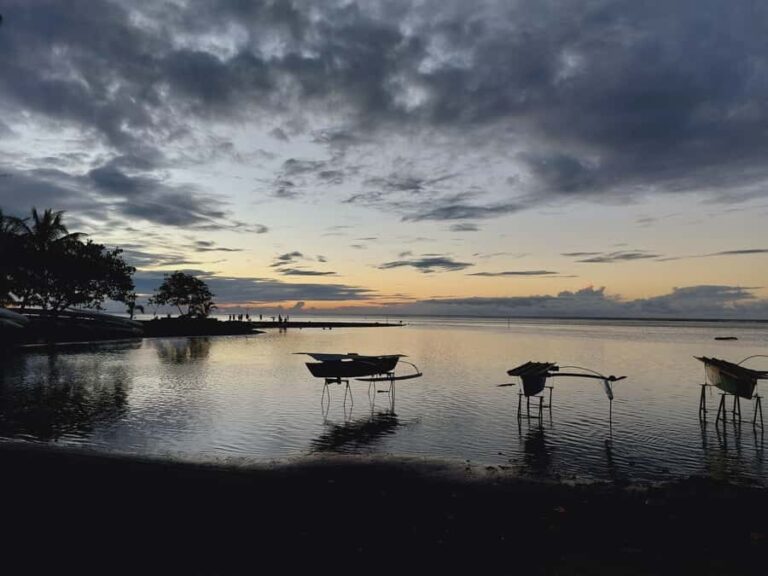 Tahiti: Northeast Coast Waterfalls&Viewpoints Half Day Tour - What Makes This Tour Stand Out?