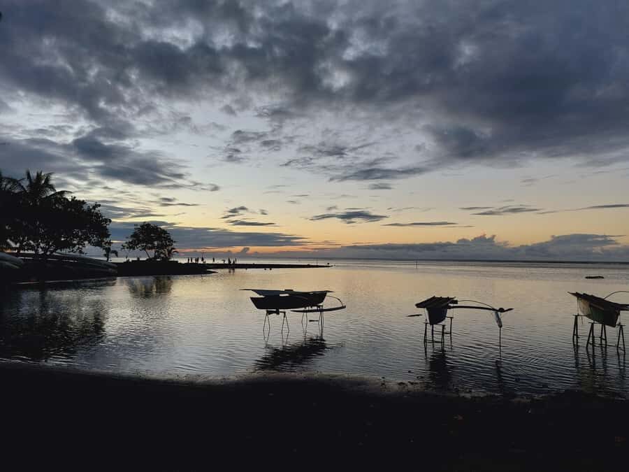 Tahiti: Northeast Coast Waterfalls&Viewpoints Half Day Tour - What Makes This Tour Stand Out?