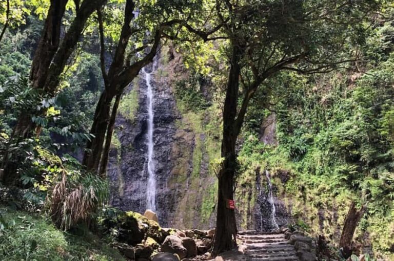 Tahiti : Tour de l'ile complet (Full Day) avec Presqu'île - Who Should Consider This Tour?