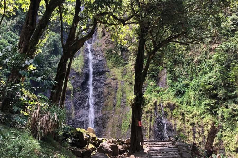 Tahiti : Tour de l'ile complet (Full Day) avec Presqu'île - Who Should Consider This Tour?