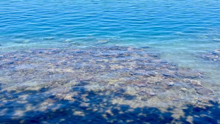 Tahiti : Tour de lîle Côte Est et Côte Ouest (Full Day) - Analyzing the Value