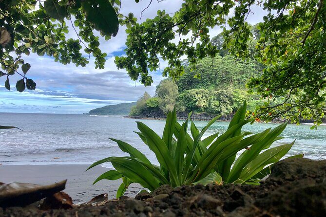 Tahiti: Tour of the East or West Coast (Half Day) - Who Will Appreciate This Tour?