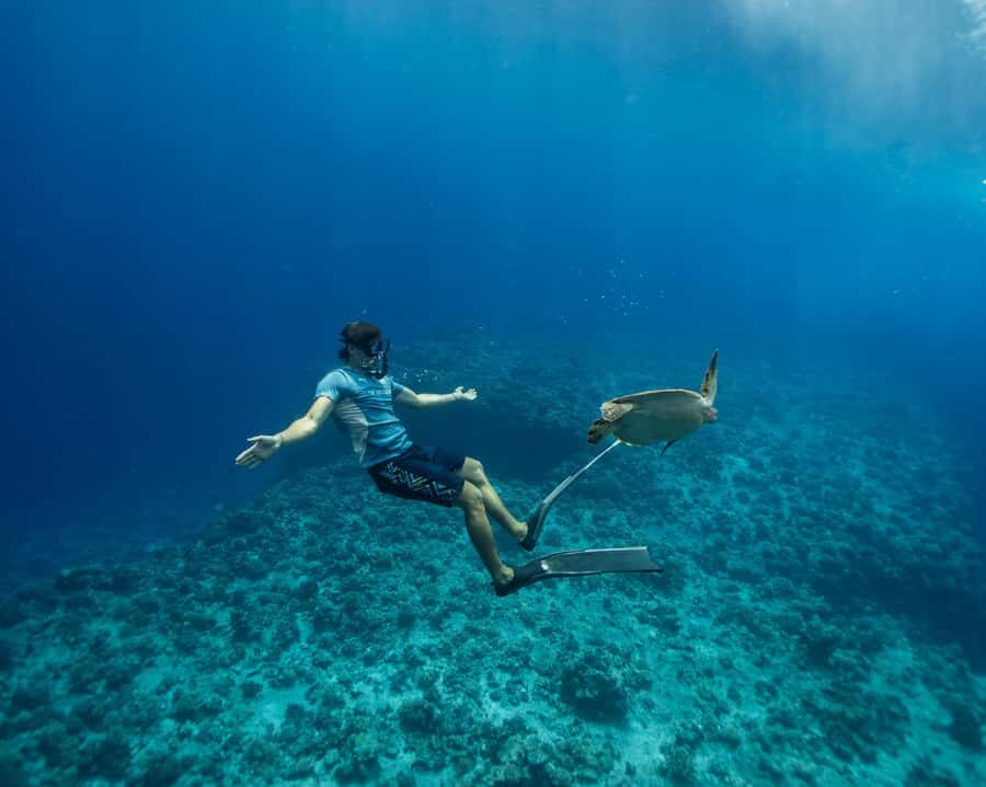 Tahiti underwater photo experience - Itinerary Breakdown