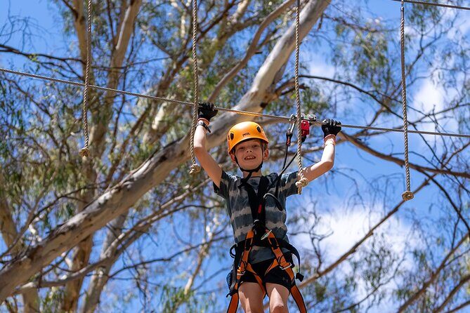 Take the Challenge and Conquer the Salisbury Treetops - The Practicalities: What You Need to Know