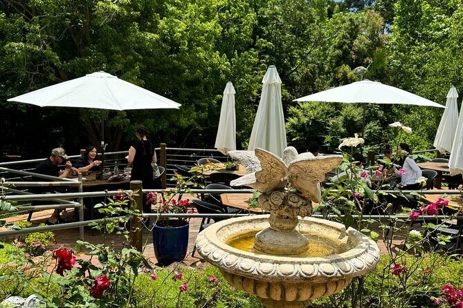 Tamborine Explorer from Brisbane - The Itinerary: A Closer Look at Each Stop