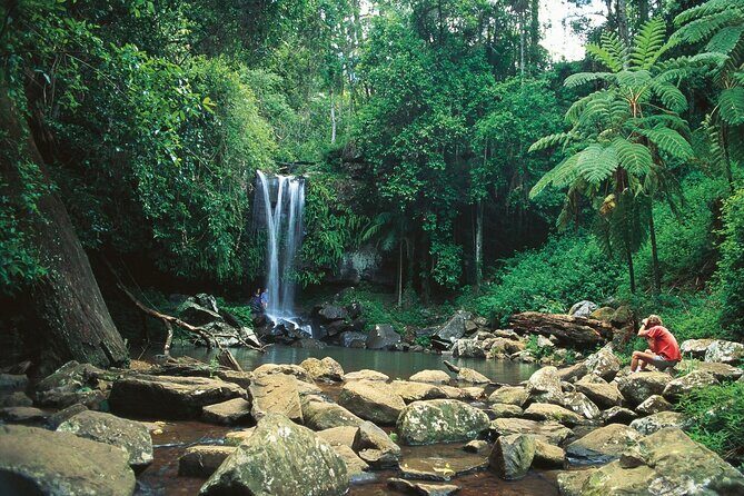 Tamborine Mountain - Hop On Hop Off - From Brisbane - Key Points